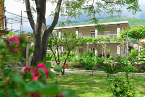 Apartmani Mihovic - JAZ